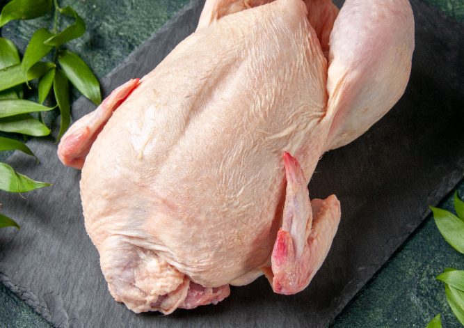 poultry